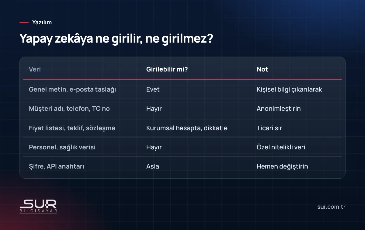 İşyerinde yapay zekâ araçlarına girilebilecek ve girilmemesi gereken veri türleri tablosu