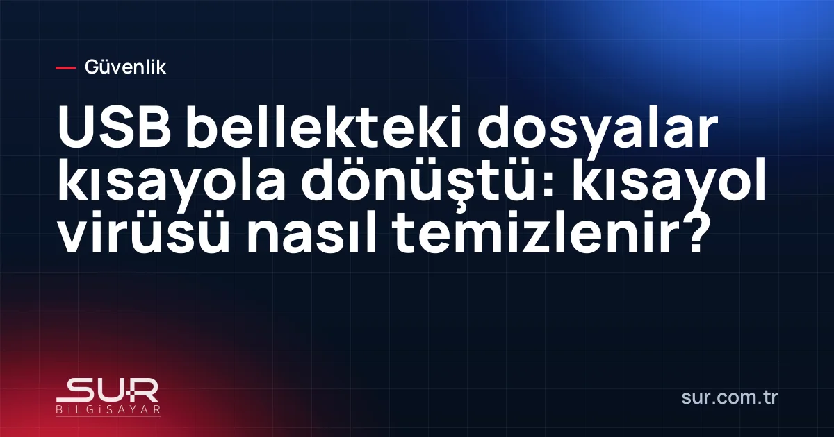 Dosya Gezgini'nde kısayol simgesine dönüşmüş klasörler ve USB bellek