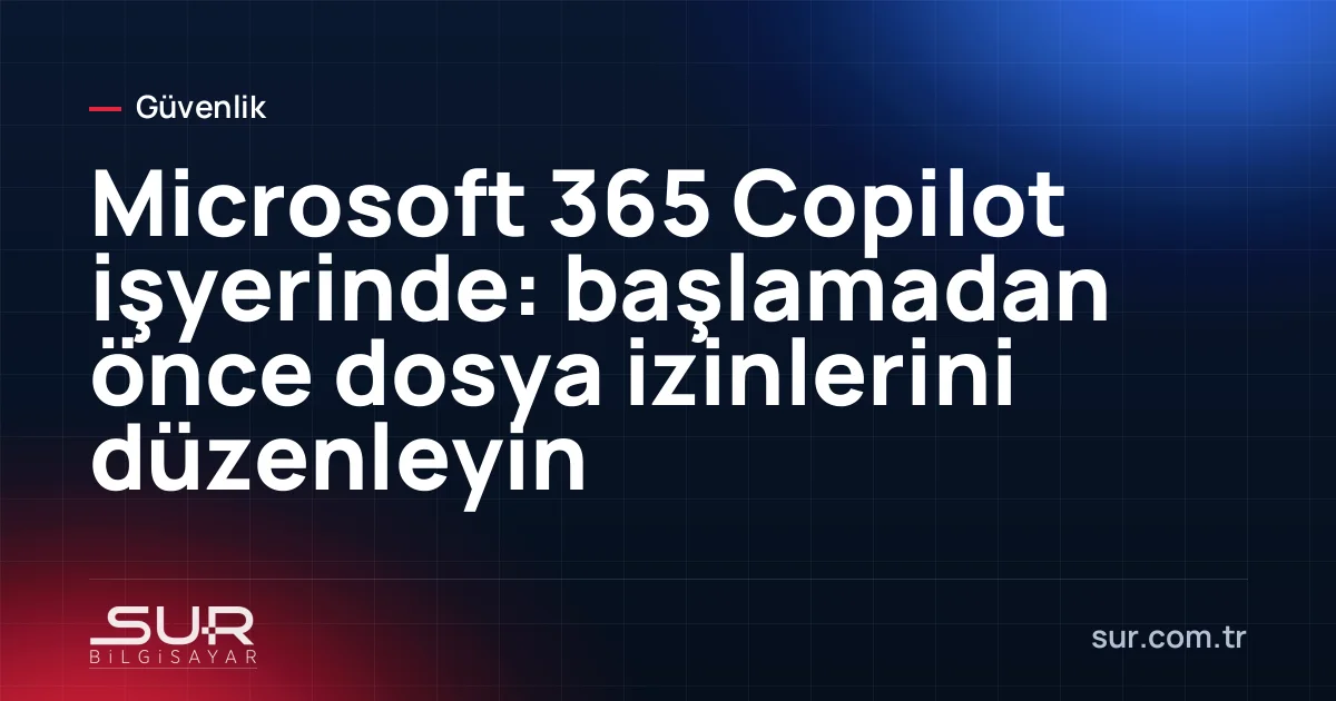 Microsoft 365 uygulamalarında Copilot paneli ve dosya izinleri