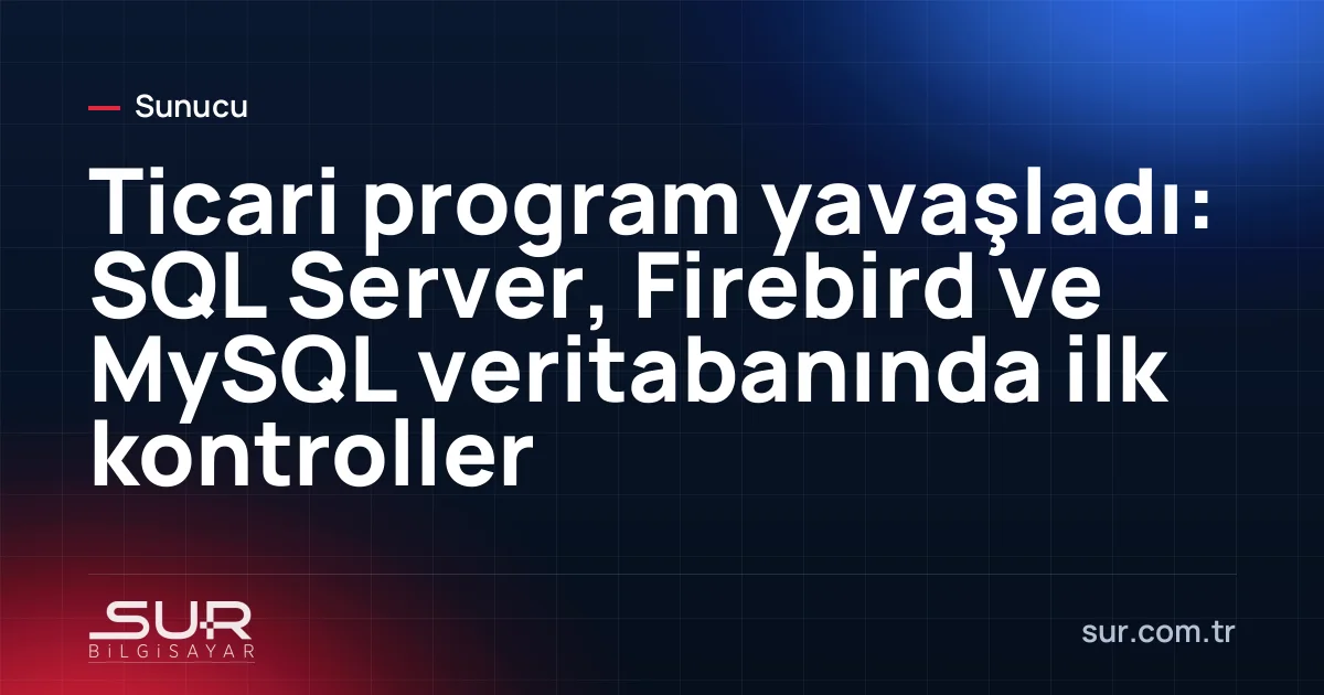 Ticari program veritabanı sunucusunda disk, RAM ve log dosyası performans kontrolleri
