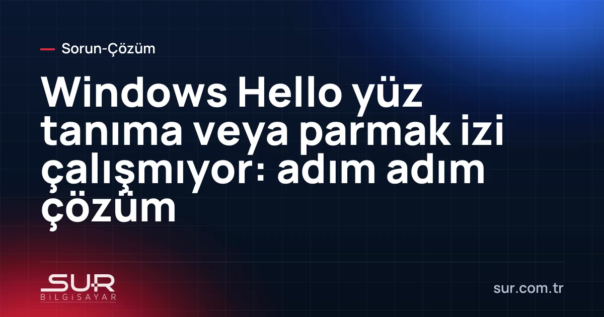 Laptop oturum açma ekranında Windows Hello yüz tanıma hatası ve PIN ile giriş seçeneği